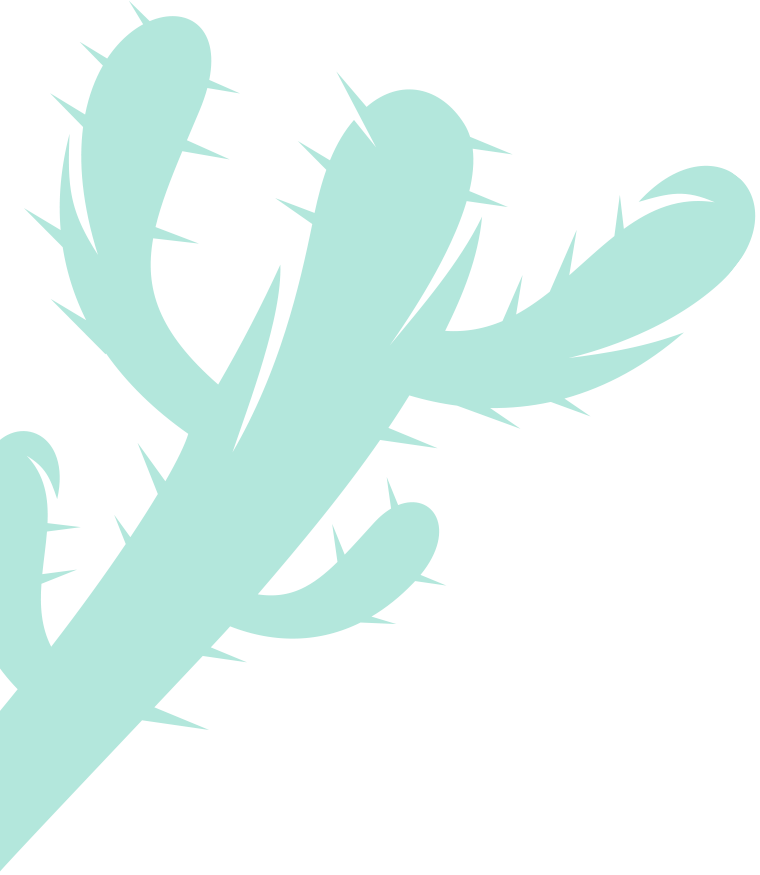 turquoise cactus graphic on left side