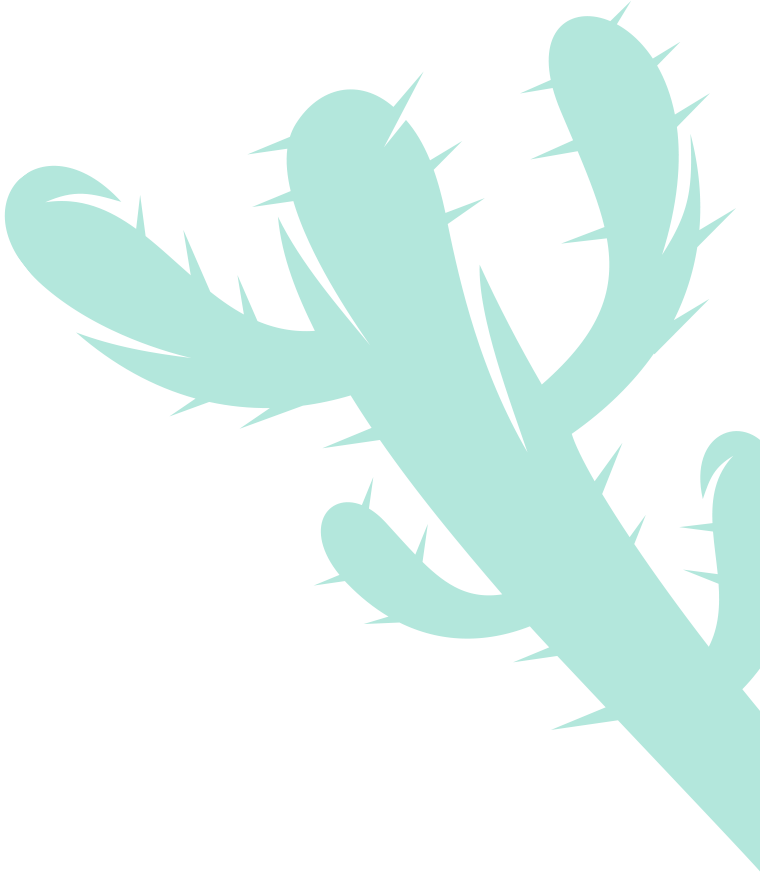 turquoise cactus graphic on right side