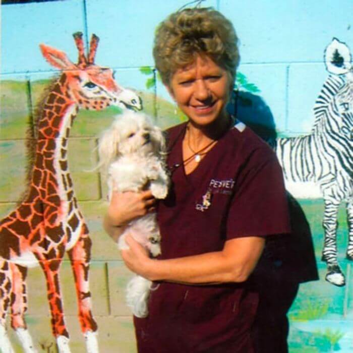 Surprise, AZ 85378 Veterinarians | PetsVet Animal Hospital
